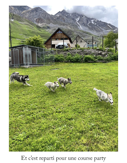 You Ski En Terre Happy Pension Pour Chien à Valloire
