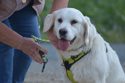 Canis Humanus - Comportementaliste Canin, Dresseur De Chiens à Salles-sur-Mer