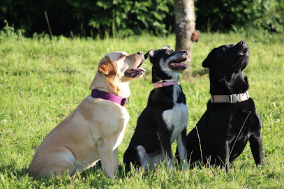 Coeur De Chien -Celia Kerlan Dresseur De Chiens à Saint-Privat-la-Montagne