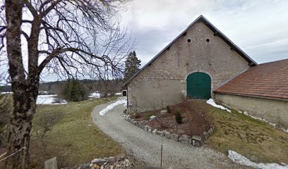 Elevage de samoyède la Ferme aux Corneilles, Eleveur de Chiens à Haut Valromey
