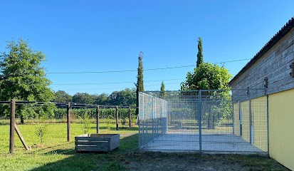 Pension Canine De La Cuadrilla, Pension pour Chiens à Orthevielle