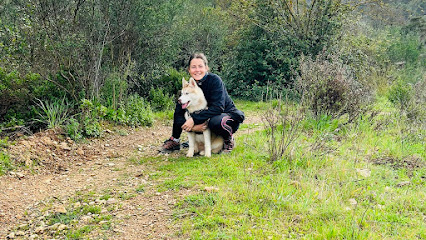 Petsitter Professionnelle À Votre Domicile - Éducation Canine & Loisirs - Professeur De Doga 🐾 Dresseur De Chiens à Solliès-Pont