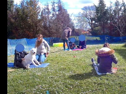 Air Canin - Education et comportement canin, Dresseur de Chiens à Mondonville