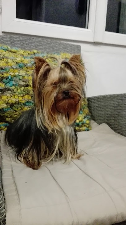 Le fenil des canailles, Eleveur de Chiens à Saint-Aigulin