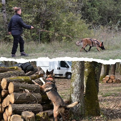 Édu'cat Pat, Dresseur de Chiens à Allonnes