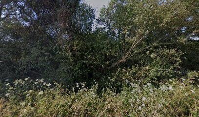 Protect Dog, Dresseur de Chiens à Saint-Viaud