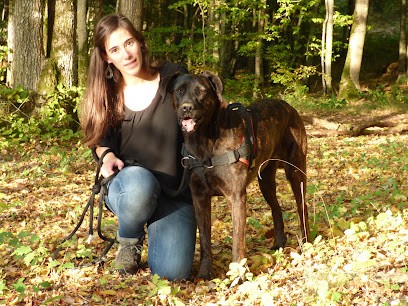 Ô Maîtres Tranquilles, éducateur Canin Comportementaliste, Dresseur de Chiens à Rouvres