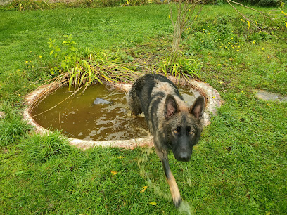 C'crocs Malin Pension Pour Chien à Séez