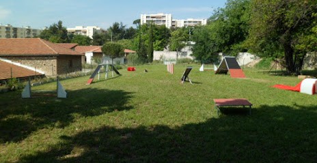Club Canin Du Soleil, Dresseur de Chiens à Marseille 14