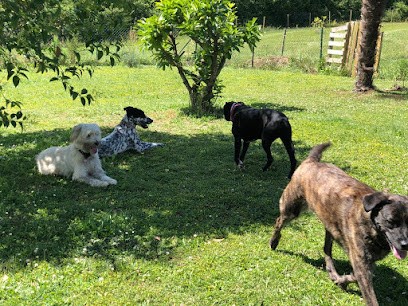 La Recré des Toutous, Pension pour Chiens à Courties