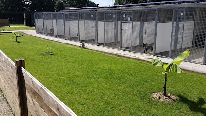 Le Bonheur Des 4 Pattes, Pension pour Chiens à Betton