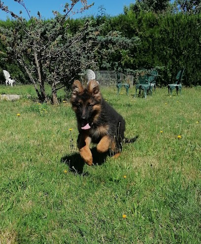 Centre Canin et Félin du Château Fraye, Eleveur de Chiens à Vayres-sur-Essonne