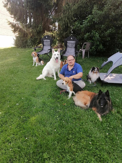 Pension Canine "Family Dogs Comme À La Maison", Pension Pour Chien à Mailly-Maillet