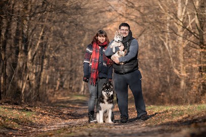 FLOWER OF TENEBRAE - Elevage Husky De Sibérie & Pension Canine, Eleveur de Chiens à La Croix-du-Perche