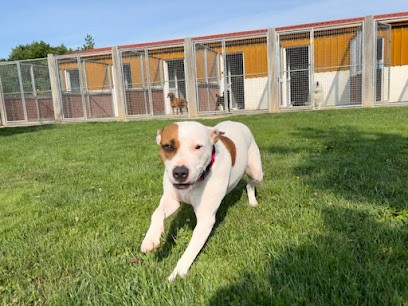 Vendée Dog, Pension pour Chiens à Poiroux