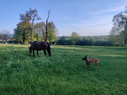 Dog's Empathy 12, Dresseur de Chiens à Lanuéjouls