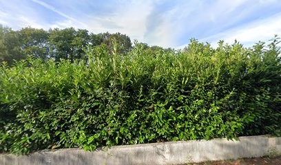 Boules de poils, Pension pour Chiens à Landevieille