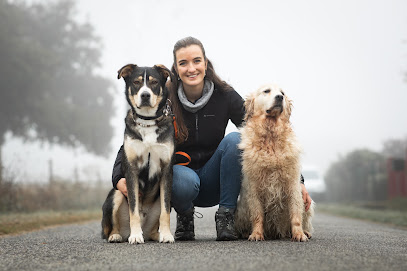 Humalia - Éducateur Canin Et Comportementaliste Dresseur De Chiens à Armentières-sur-Avre