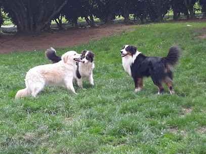 AU PALAIS D'ARALD, Pension pour Chiens à Elliant