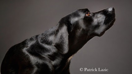 Anne Outters : Comportementaliste, Florathérapeute & Educateur canin, Dresseur de Chiens à Ville-d'Avray