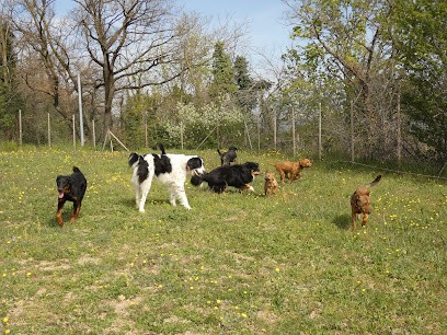 Peace and dog's, Pension pour Chiens à Loriol-sur-Drôme