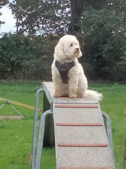 Club d'Education Canine et d'Agility de Laurenan (ecole du chiot ,re education), Dresseur de Chiens à Laurenan