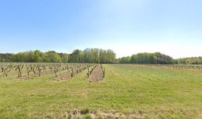 Amicale Canine Pineuilh Pays Foyen, Dresseur de Chiens à Pineuilh