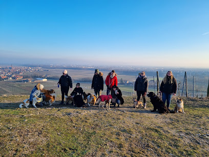 Zenidog - Educateur Canin, Dresseur De Chiens à Scherwiller