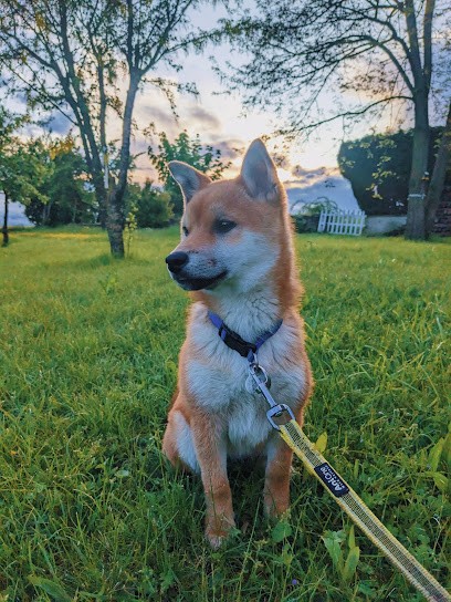 Earl Clairet, Eleveur de Chiens à Ahuillé