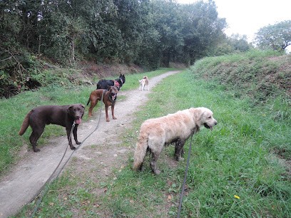 Parlons Chien, Dresseur de Chiens à Tréduder