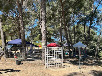 Ecole Du Chien - Saint Cyr Sur Mer, Dresseur de Chiens à Saint-Cyr-sur-Mer