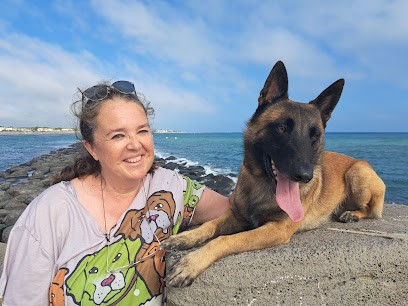 Chez Linette, Pension pour Chiens à Plumergat