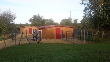 Elevage et Pension canine Les Diablotins d'isis, Pension pour Chiens à Maulévrier