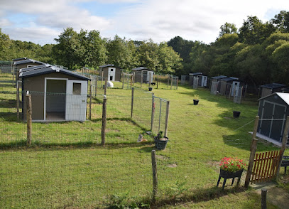 Éducation Et Pension Canine Du Brivet, Dresseur De Chiens à Sainte-Anne-sur-Brivet