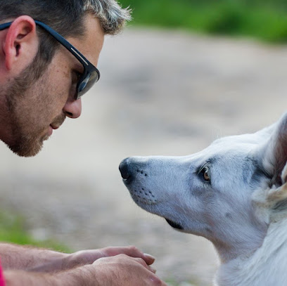 Mtonchien Dresseur De Chiens au Crès