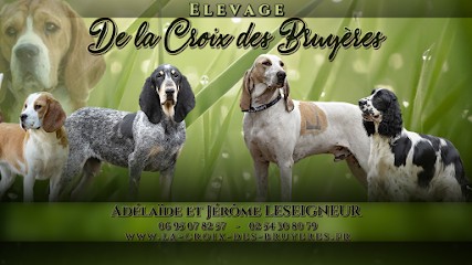 Élevage De La Croix Des Bruyères - EI, Eleveur de Chiens à Vicq-Exemplet