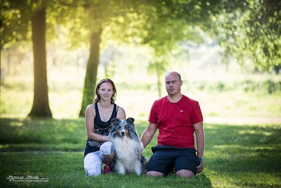 Sarl 4 Pattes Académie : Julie Floiras Éducation, Pension pour Chiens à Avreuil