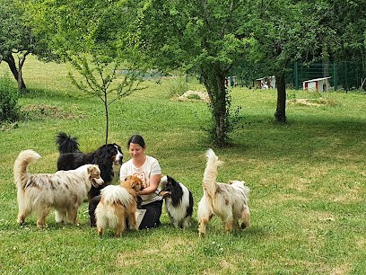 Le Chalet Des 4 Pattes Du Lary, Pension pour Chiens à Orignolles