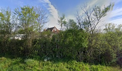 Barsois von Ochotnikov, Eleveur de Chiens à Bransat