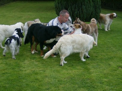 Leblanc Hirsch Magali, Pension pour Chiens à Lannoy-Cuillère