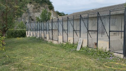 Vilain Jean-Christophe, Pension pour Chiens à Saint-Pons