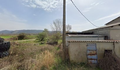 Club Canin Peyruis - CUECP, Dresseur de Chiens à Peyruis
