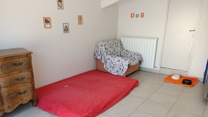 Pension Passion, Pension pour Chiens à Aubignan