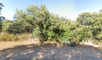 Club Canin Corsi Cani Sc, Dresseur de Chiens à Sarrola-Carcopino