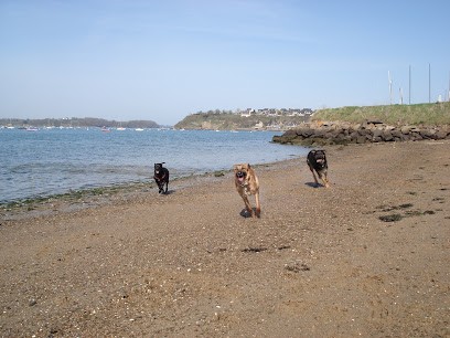 Educ'Bonnes Pattes, Dresseur de Chiens à Saint-Suliac