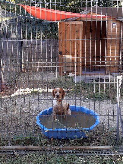 pension canine du rigaou, Pension pour Chiens à Cogolin