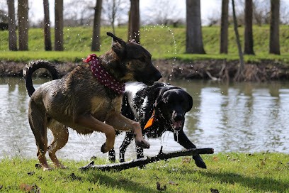 KIDU Educateur canin comportementaliste en Mayenne 53, Dresseur de Chiens à Vaiges