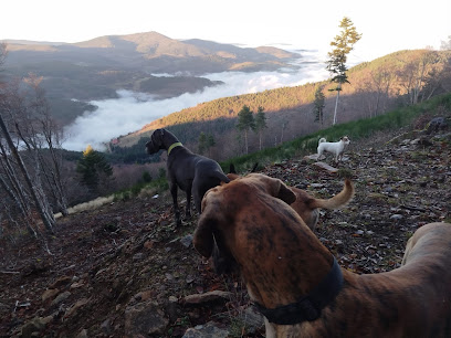Garde À Woofs - Garde À Mious - Pension Canine Et Féline Nord Ardèche, Pension Pour Chien à Vaudevant