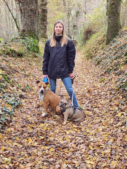 Cani berry, Dresseur de Chiens à Sacierges-Saint-Martin