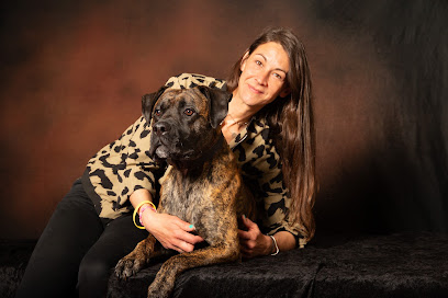 Dl Coach Animalier, Dresseur De Chiens à Trégueux